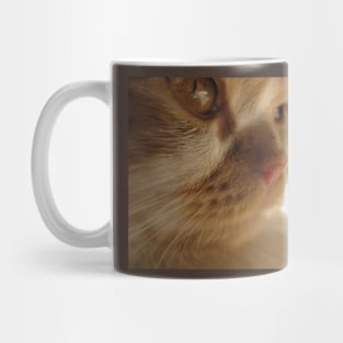 Closeup Cute Cat Side Profile Photography Mug